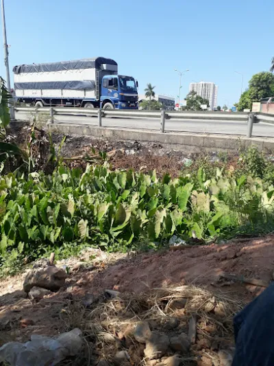 tuấn cháo lòng - nhà hàng