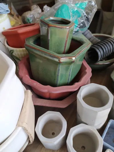 vật tư cây cảnh trần (phân bò, hạt giống, giá thể...) - cửa hàng bán buôn