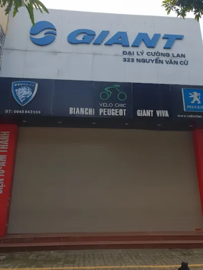 vélo chic - cửa hàng xe đạp