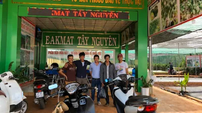 viện eakmat tây nguyên - vườn ươm cây giống chất lượng tại đắk lắk - vườn ươm