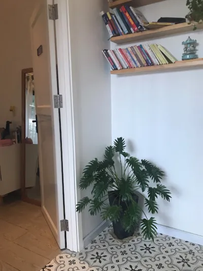 vlxd hồng hạnh - cửa hàng vật liệu xây dựng