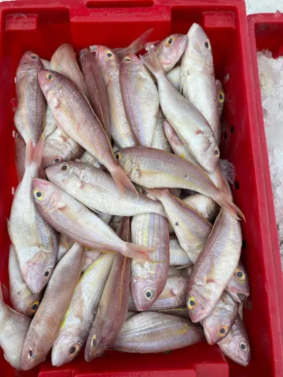 vựa cá anh mười - chợ hải sản