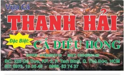vựa cá thanh hải - cửa hàng hải sản khô