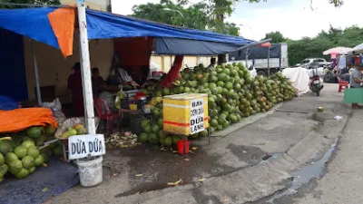 vựa dừa a đực - cửa hàng