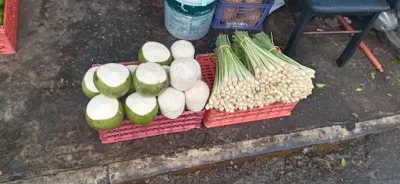 vựa dừa - nước cốt dừa trần ngoan - cửa hàng bán buôn trái cây