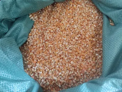 vựa gạo nhật anh - cửa hàng tạp phẩm