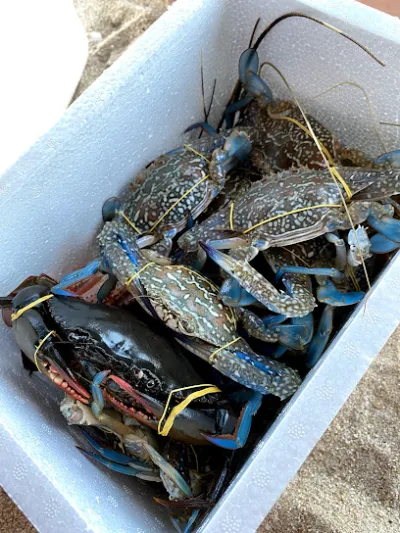 vựa hải sản 39 - nhà bán buôn hải sản