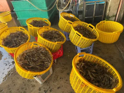 vựa hải sản bảy phường - nhà bán buôn hải sản