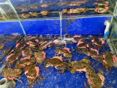 vựa hải sản bến tre - nhà bán buôn hải sản