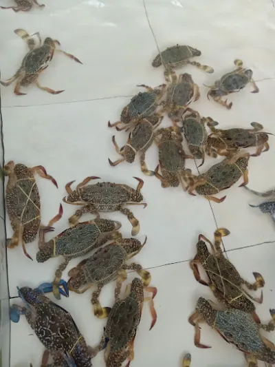 vựa hải sản hạnh hồ - nhà hàng