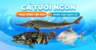 vựa hải sản - hệ thống bán lẻ hải sản tươi sống tại tp. hồ chí minh - cửa hàng cá