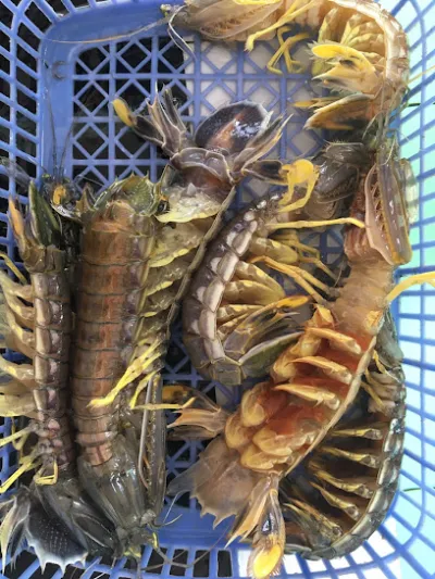 vựa hải sản hoài phương - nhà bán buôn hải sản vựa hải sản hoài phương - nhà bán buôn hải sản