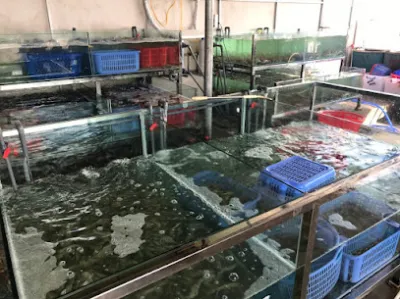 vựa hải sản hoàng quân - chợ hải sản