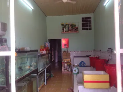 vựa hải sản huy - nhà hàng hải sản