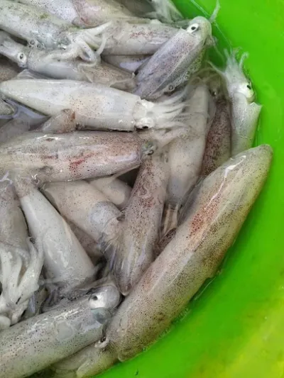 vựa hải sản quyền - nhà hàng hải sản