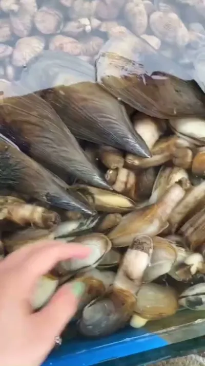 vựa hải sản sáu ốc chợ tân hiệp biên hoà đồng nai - chợ hải sản