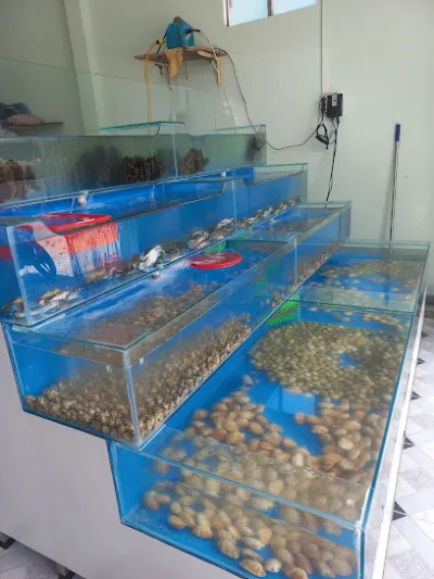 vựa hải sản tươi sống cây sung 2 - chợ hải sản