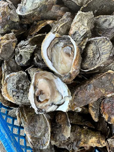 vựa hàu linh - nhà hàng hải sản