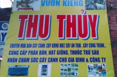 vựa kiểng thu thủy - cửa hàng bán buôn cây cảnh