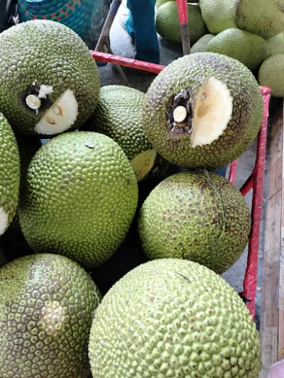 vựa mít an thư - cửa hàng bán buôn trái cây