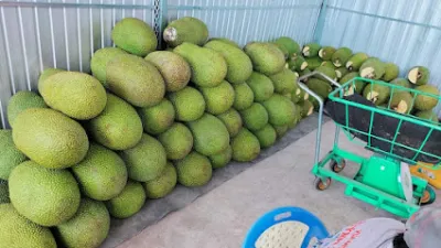 vựa mít kim ngân 2 - cửa hàng bán buôn trái cây