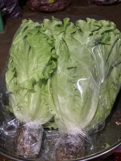 vựa rau hương bình - nhà bán buôn rau củ quả vựa rau hương bình - nhà bán buôn rau củ quả