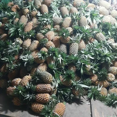 vựa thơm sĩ lẻ và trái cây