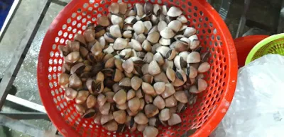 vựa tôm, cua biển tây ninh - nhà bán buôn hải sản vựa tôm, cua biển tây ninh - nhà bán buôn hải sản