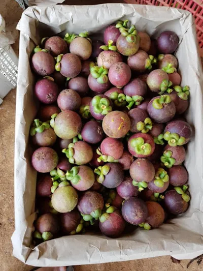 vựa trái cây hiền quyên - cửa hàng