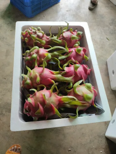 vựa trái cây hưng hà - cửa hàng bán buôn trái cây
