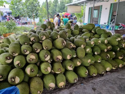 vựa trái cây lê nam - cửa hàng bán buôn trái cây