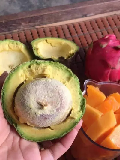 vựa trái cây michel - cửa hàng bán buôn trái cây vựa trái cây michel - cửa hàng bán buôn trái cây