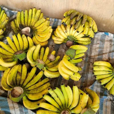 vựa trái cây miền tây & chuối laba đà lạt (sỉ & lẻ) - nhà bán buôn rau củ quả