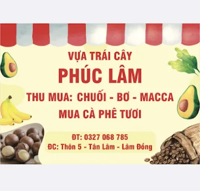 vựa trái cây phúc lâm - cửa hàng bán buôn trái cây
