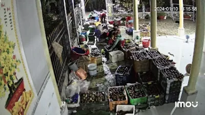 vựa trái cây phụng - cửa hàng