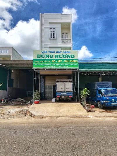 vựa trái cây sạch đức trọng - cửa hàng rau quả