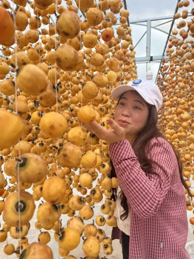 vựa trái cây thái an