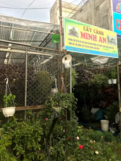 vườn cây cảnh minh an - cửa hàng hoa