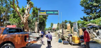 vườn ươm saigontree - cửa hàng bán buôn cây cảnh vườn ươm saigontree - cửa hàng bán buôn cây cảnh