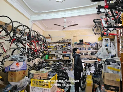 xe đạp thái bình - cửa hàng xe đạp