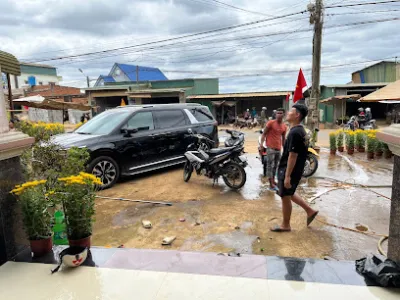 xe dịch vụ tân lâm - đại lý du lịch