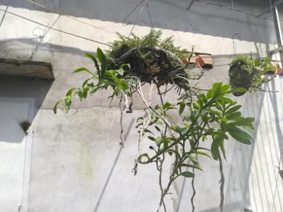 xưởng cưa - mộc - nội thất anh nam - xưởng cưa