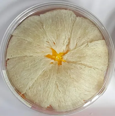 yến sào bình dương - tổ yến nguyên chất - trung tâm mua sắm