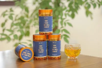 yến sào - đinh hồng gấm - cửa hàng chăm sóc sức khỏe và làm đẹp yến sào - đinh hồng gấm - cửa hàng chăm sóc sức khỏe và làm đẹp