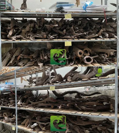 zen aquarius - bể cá thủy sinh mini - cửa hàng đồ cá cảnh