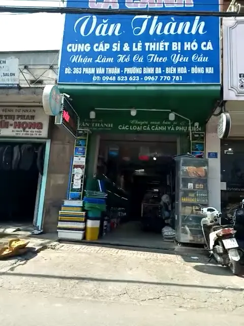 Địa điểm, cửa hàng cung cấp sỉ & lẻ thiết bị hồ cá - các loại cá cảnh và phụ kiện Địa điểm, cửa hàng cung cấp sỉ & lẻ thiết bị hồ cá - các loại cá cảnh và phụ kiện