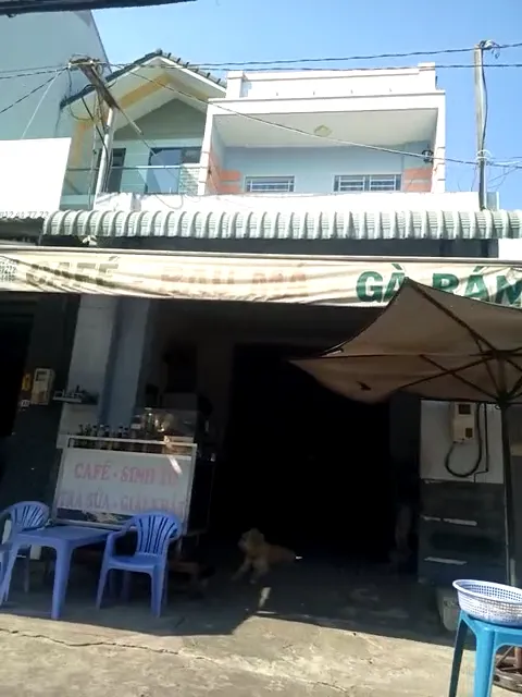 tiệm cà phê, sinh tố