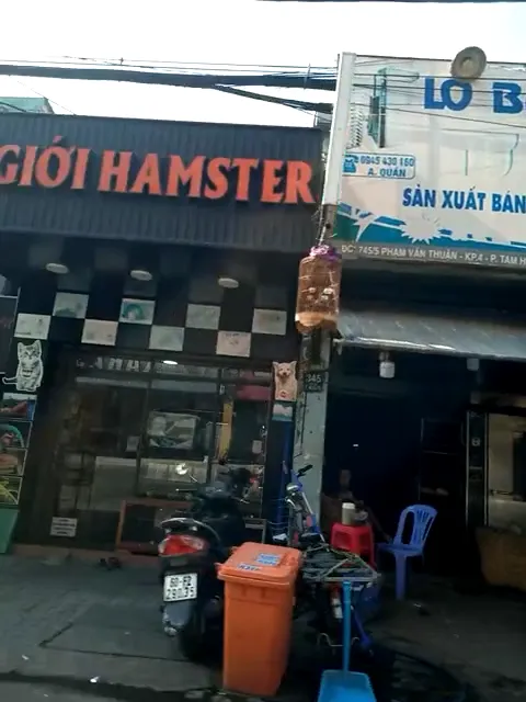 Địa điểm, cửa hàng thế giới hamster Địa điểm, cửa hàng thế giới hamster