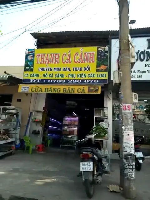 Địa điểm, cửa hàng tiệm cá cảnh Địa điểm, cửa hàng tiệm cá cảnh