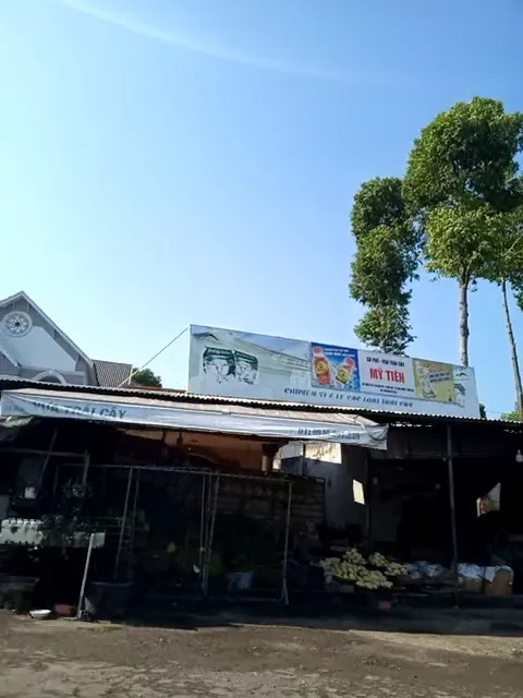 Địa điểm, cửa hàng vựa trái cây Địa điểm, cửa hàng vựa trái cây